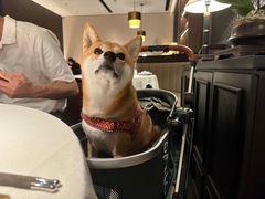 -炳胜私厨(万象前海店)