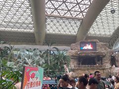 -杭州开元森泊度假乐园