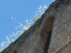 -蟠龙山长城景区