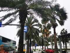 -珠海拱北口岸希尔顿欢朋酒店