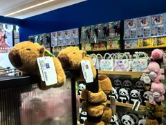-凯德MALL(望京店)