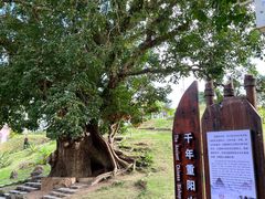 -蔡家宅