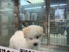 -汤姆宠物(长青北路店)