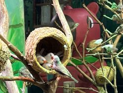 -Zoolung Zoolung动物主题公园(海信广场店)