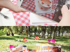 -长白岛森林公园