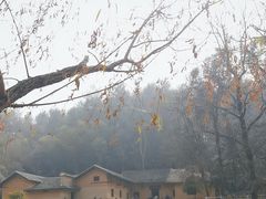 -韶山毛泽东同志故居