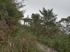 -北仑森林植物园