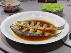 -子福慧(虹桥店)