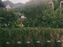 -看见远方·莫干遥远的山民宿