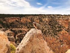 -科罗拉多大峡谷