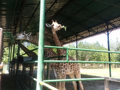 -秦皇岛野生动物园