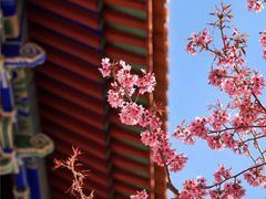 -崇圣寺三塔文化旅游区