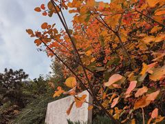 -北京鹫峰国家森林公园