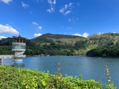 -水濂山森林公园