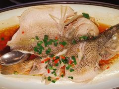 葱油鲈鱼-新白鹿餐厅(虹桥南丰城店)