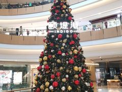 -多乐之日(颐堤港店)