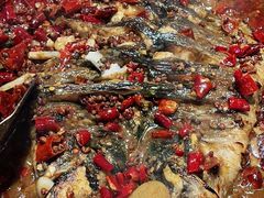 -鱼酷活鱼烤鱼(沈阳大悦城店)