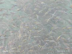 -亚龙湾海底世界