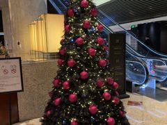 -上海锦江汤臣洲际大酒店壹阶层