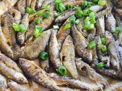 -大班家政月嫂育儿嫂(深圳NO.1店)