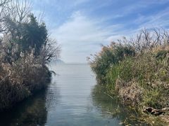 -捞渔河湿地公园