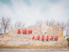 -天津东丽湖风景区