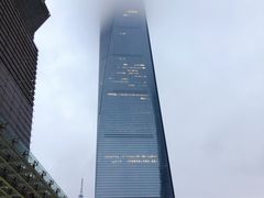 -上海柏悦酒店
