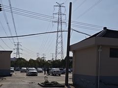 -光明驾校·学车·陪驾(杨浦店)