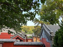 -泰山风景名胜区-普照寺