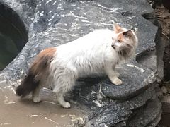 -龙达温泉生态城