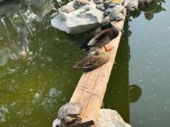 -法藏讲寺