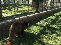 -新疆天山野生动物园