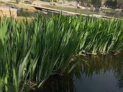 -济南植物园