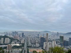 -板樟山森林公园