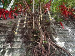 -重庆十八梯传统风貌区