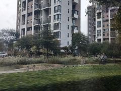 -天津东丽湖风景区