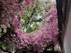 -深圳国际园林花卉博览园