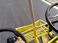 -黄海国家森林公园