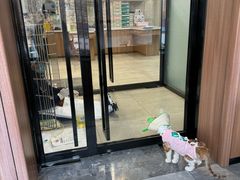 -北京派仕佳德动物医院·超导核磁·CT·神经科·骨科·内外科·急重症管理中心