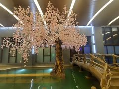-长白山聚龙火山温泉
