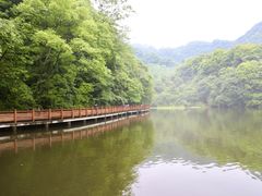 -青城山