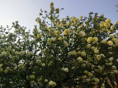 -南京维景国际大酒店(南京博物院店)