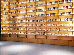 -深影国际影城(学院南路店CGS中国巨幕店)