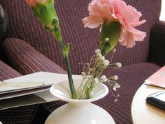 桌上的小花-哈根达斯(宁波和义店)