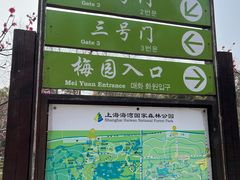 -上海海湾国家森林公园