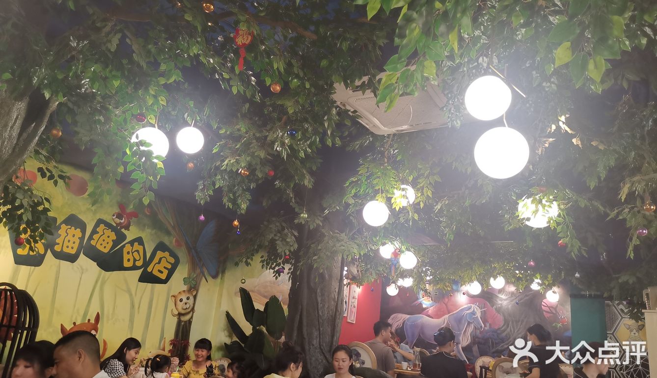 张猫猫的店