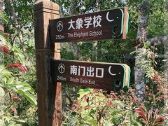 -野象谷景区