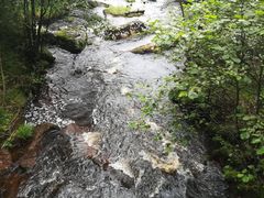 -汤旺河林海奇石景区