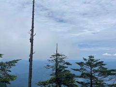 -瓦屋山景区