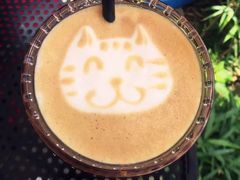 海边的猫和咖啡馆-海边的猫和咖啡馆